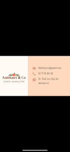 Photo de galerie - Coordonnées 