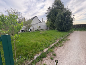 Photo de galerie - Tonte de pelouse - Débroussaillage