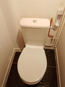 Photo de galerie - Remplacement d'un WC