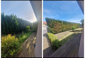 Photo de galerie - Remise au propre d'un jardin 