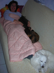 Photo de galerie - Soirée télé avec mon chien Toupix et mes deux minettes Cachou et Mina