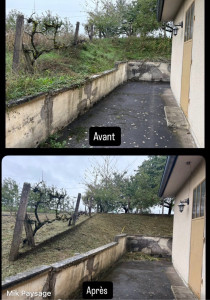 Photo de galerie - Tonte de pelouse - Débroussaillage