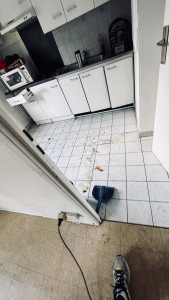 Photo de galerie - Cuisine avant nettoyage : sol, meubles, gazinière et placards fortement encrassés.