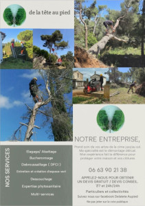 Photo de galerie - Flyer de l'entreprise