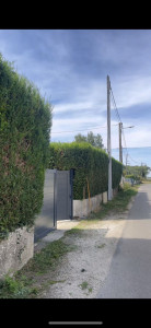 Photo de galerie - Taille de haies et d'arbustes