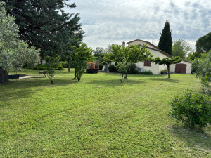 Photo de galerie - Tonte 