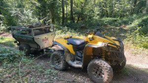 Photo de galerie - Coupe de bois et débardage 