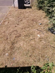 Photo de galerie - Tonte de pelouse - Débroussaillage