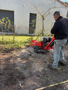 Photo de galerie - Dessouchage