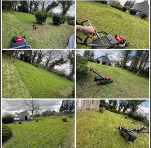 Photo de galerie - Tonte de pelouse