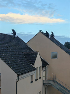 Photo de galerie - Demoussage de toiture 