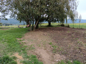 Photo de galerie - Terrassement d'une ancienne mare,
apport de 80 M3 de terre , 
planimétrie du terrain effectué a la mini-pelle/ dumper.

