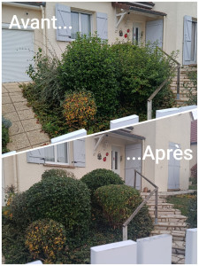 Photo de galerie - Taille de haies et d'arbustes