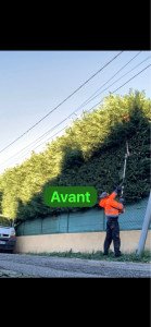 Photo de galerie - Remise en état complète d’une haie : taille, mise en forme et finition soignée. Travail propre, rapide et efficace avec évacuation des déchets. Résultat net et durable.