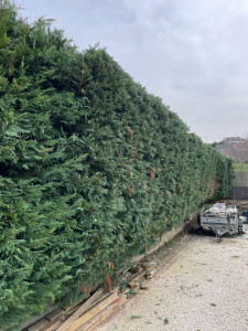 Photo de galerie - Après 