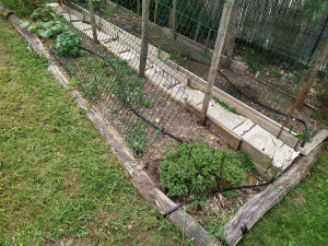 Photo de galerie - Installation arrosage automatique