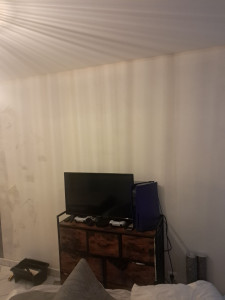 Photo de galerie - Tapisserie chambre