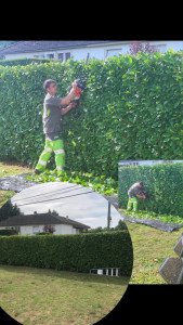 Photo de galerie - Jardinier