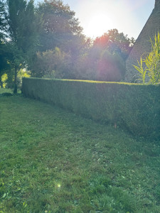 Photo de galerie - Taille