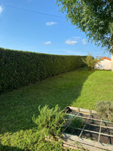 Photo de galerie - Taille haie 