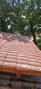 Photo de galerie - Demoussage toitures/ après 