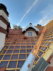 Photo de galerie - Création de noue , chien assis 