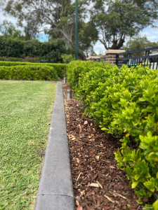 Photo de galerie - Paysagiste - Aménagement du jardin