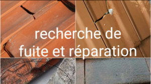 Photo de galerie - Couverture - Toiture