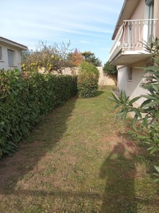 Photo de galerie - Tonte de pelouse - Débroussaillage