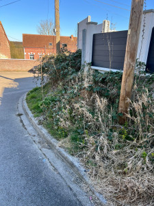 Photo de galerie - Débroussaillage avant