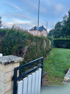 Photo de galerie - Elagage et coupe d'arbres