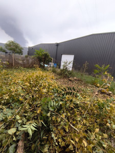 Photo de galerie - Paysagiste - Aménagement du jardin