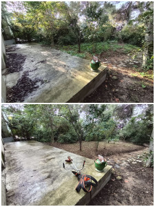 Photo de galerie - Tonte de pelouse - Débroussaillage