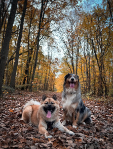 Photo de galerie - Balade entre copains 