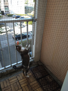 Photo de galerie - J'ai aidé quelqu'un a poser un filet de protection pour balcon afin d'éviter les chutes des animaux 