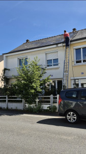 Photo de galerie - Anti-mousse 
Dalep NG 