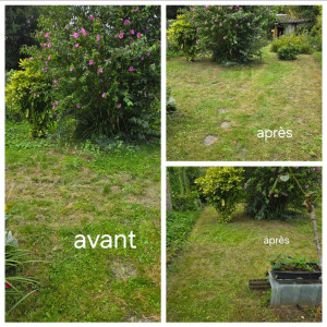 Photo de galerie - Débroussaillage + tonte 