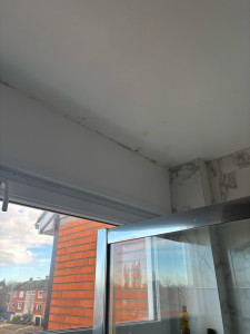Photo de galerie - Avant nettoyage, moisissure
