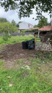 Photo de galerie - Taille de haies et d'arbustes