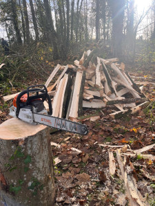 Photo de galerie - Abattage, débitage et fendage