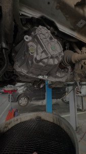 Photo de galerie - .