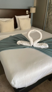 Photo de galerie - Voici la fin d'un service fait avec application. Client satisfaite.