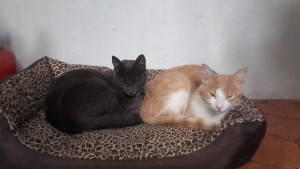 Photo de galerie - Cocooning !