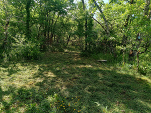 Photo de galerie - Lorsqu'on me le demande (sinon j'essaie de le suggérer ☺️) je laisse un maximum de petites fleurs pour essayer de préserver la biodiversité 