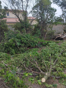 Photo de galerie - Avec évacuation 