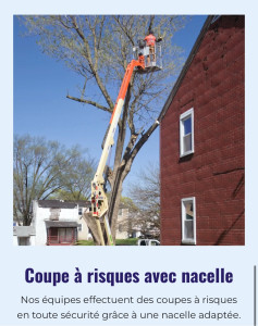 Photo de galerie - Coupe à  risque avec nacelle