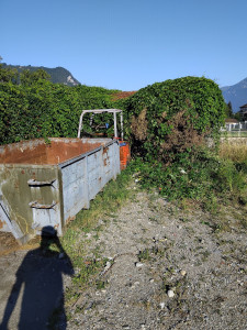 Photo de galerie - Elagage et coupe d'arbres