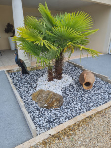 Photo de galerie - Aménagement galets blanc et scillex noir et blanc 