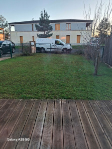 Photo de galerie - Tonte pelouse et nettoyage et désherbage autour des arbustes.. 