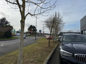 Photo de galerie - ÉLAGAGE DE SÉCURISATION DES ABORDS D’UN PARKING